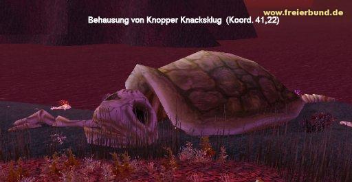 Klopper Knacksklug (Clopper Wizbang) Quest NSC WoW World of Warcraft  2