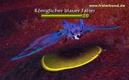 Königsblauer Falter