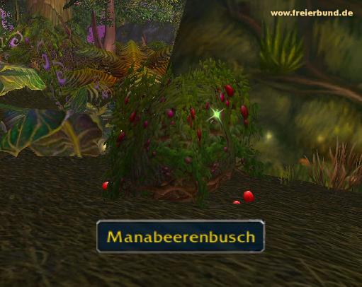 Manabeerenbusch