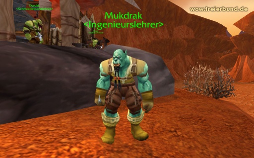 Mukdrak (Mukdrak) Trainer WoW World of Warcraft  2