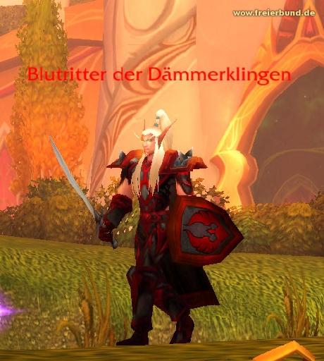 Blutritter der Dämmerklingen (Dawnblade Blood Knight) Monster WoW World of Warcraft  2