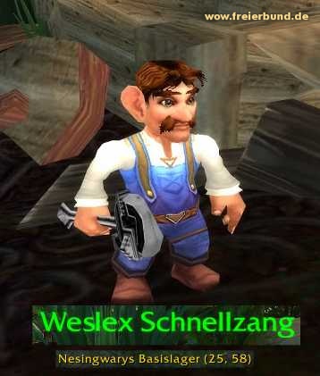 Weslex Schnellzang