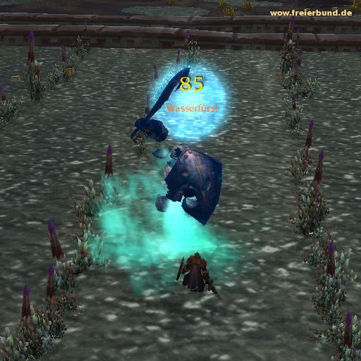 Wasserfürst (Watery Lord) Monster WoW World of Warcraft  2
