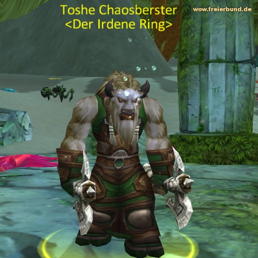 Toshe Chaosberster