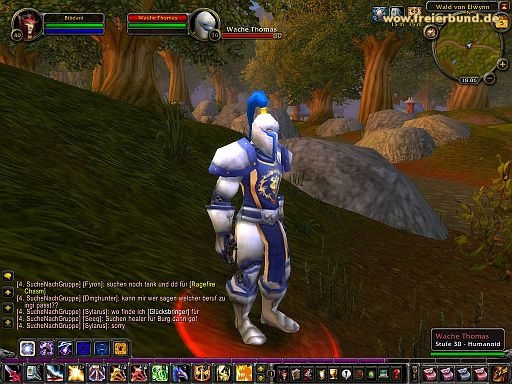 Wache Thomas (Guard Thomas) Quest NSC WoW World of Warcraft  2