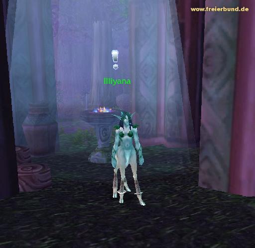 Illiyana (Illiyana) Quest NSC WoW World of Warcraft  2