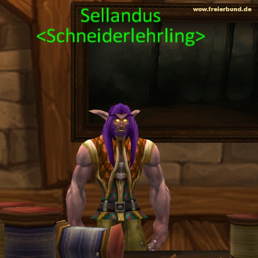 Sellandus (Sellandus) Trainer WoW World of Warcraft  2