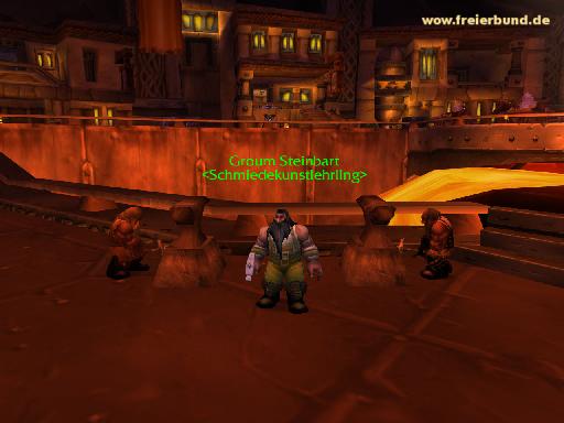 Groum Steinbart (Groum Stonebeard) Trainer WoW World of Warcraft  2