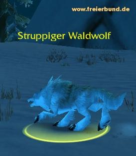 Struppiger Waldwolf