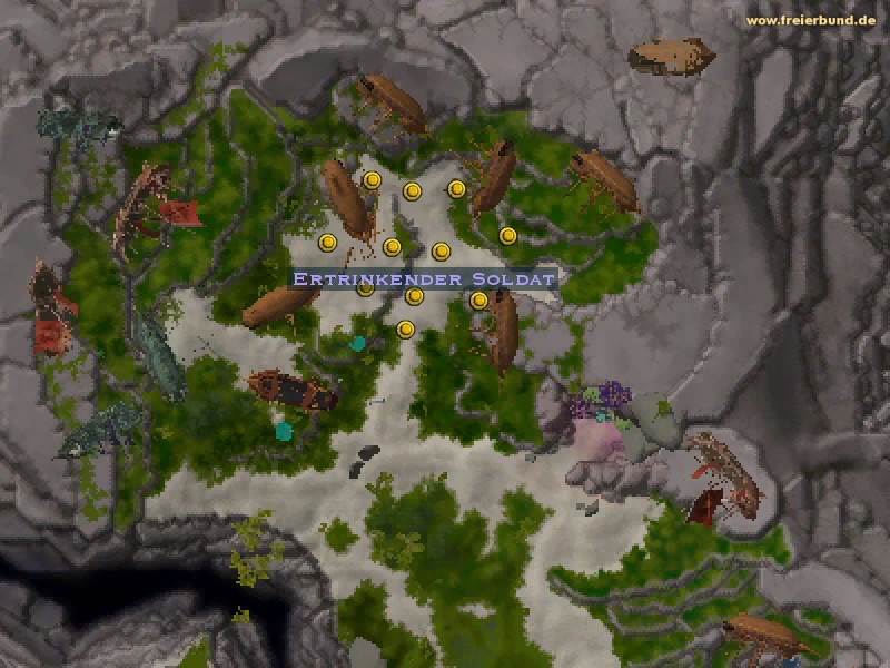 Ertrinkender Soldat (Drowning Soldier) Quest NSC WoW World of Warcraft 