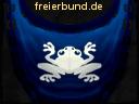 tabbard