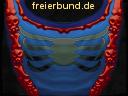 tabbard