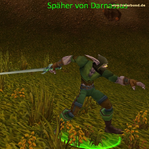 Späher von Darnassus (Darnassian Scout) Monster WoW World of Warcraft  2