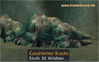 Gealterter Kodo