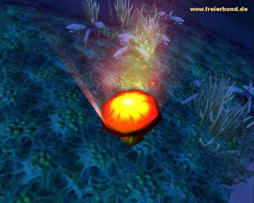 Glühkappe (Glowcap) Quest-Gegenstand WoW World of Warcraft  2