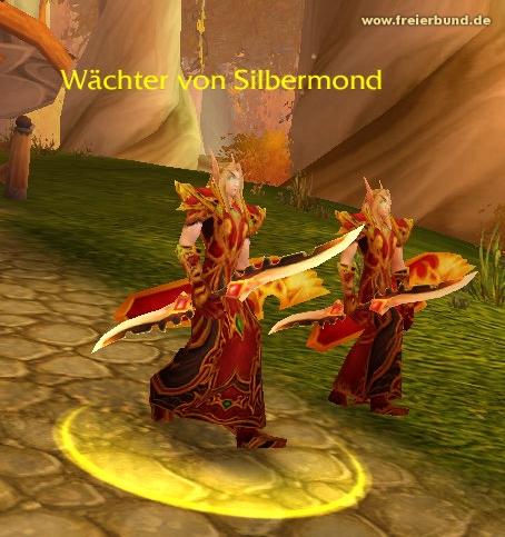 Wächter von Silbermond (Silvermoon Guardian) Monster WoW World of Warcraft  2