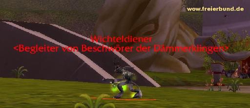 Beschwörer der Dämmerklingen (Dawnblade Summoner) Monster WoW World of Warcraft  2