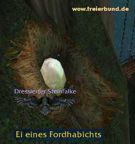 Ei eines Fjordhabichts