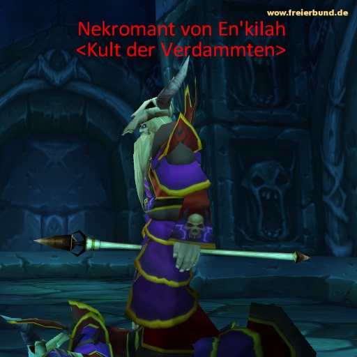 Nekromant von En'kilah (En'kilah Necromancer) Monster WoW World of Warcraft  2