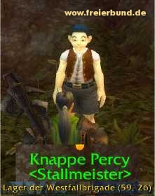 Knappe Percy