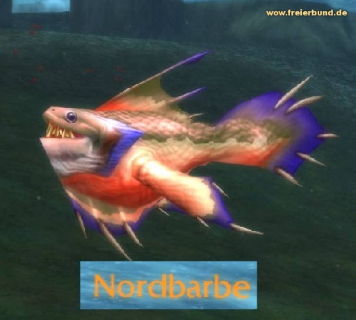 Nordbarbe