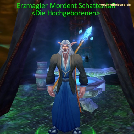 Erzmagier Mordent Schattenfall (Archmage Mordent Evenshade) Quest NSC WoW World of Warcraft  2