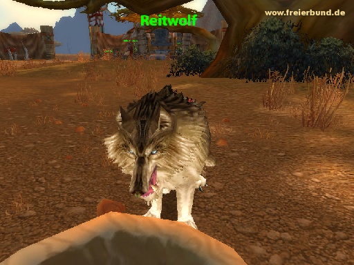Reitwolf (Riding Wolf) Monster WoW World of Warcraft  2