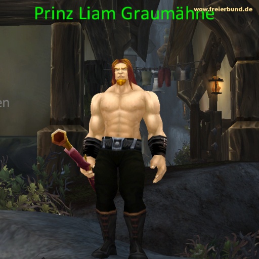 Prinz Liam Graumähne (Prince Liam Greymane) Quest NSC WoW World of Warcraft  2