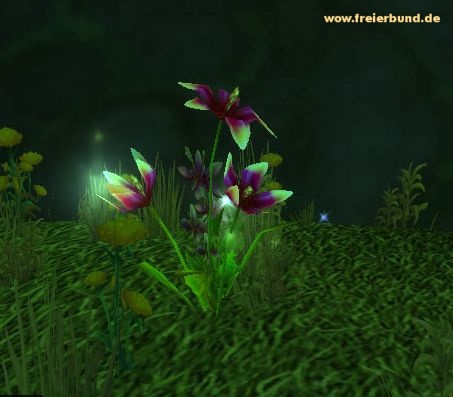 Knospende Blüte (Budding Flower) Quest-Gegenstand WoW World of Warcraft  2