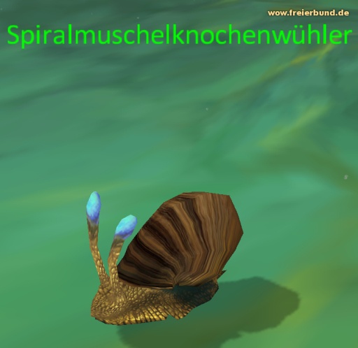 Spiralmuschelknochenwühler