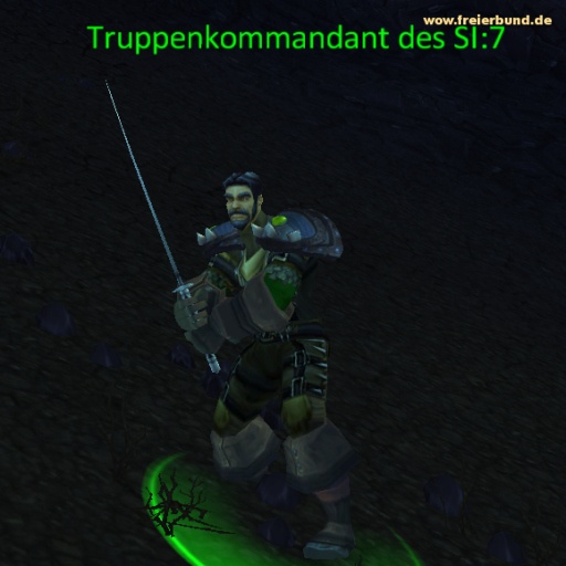 Truppenkommandant des SI:7