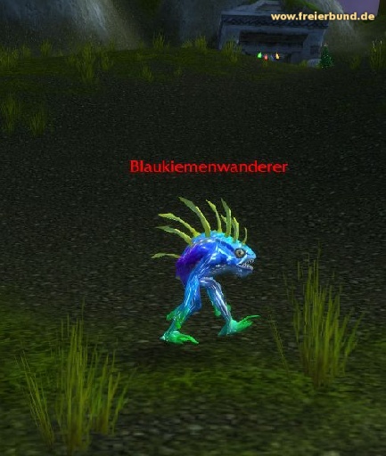 Blaukiemenwanderer