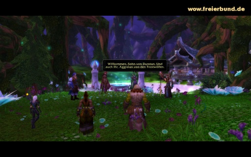 Das Nordrassilgipfeltreffen (The Nordrassil Summit) Quest WoW World of Warcraft  2