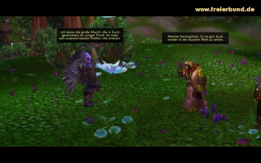 Das Nordrassilgipfeltreffen (The Nordrassil Summit) Quest WoW World of Warcraft  3