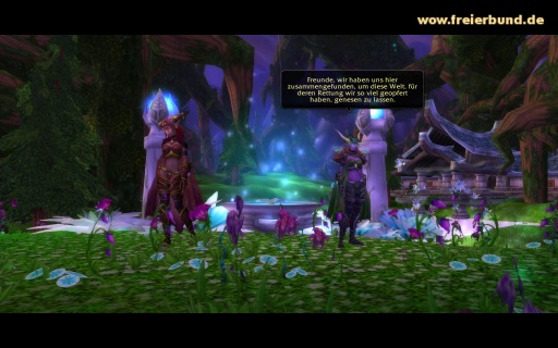 Das Nordrassilgipfeltreffen (The Nordrassil Summit) Quest WoW World of Warcraft  4