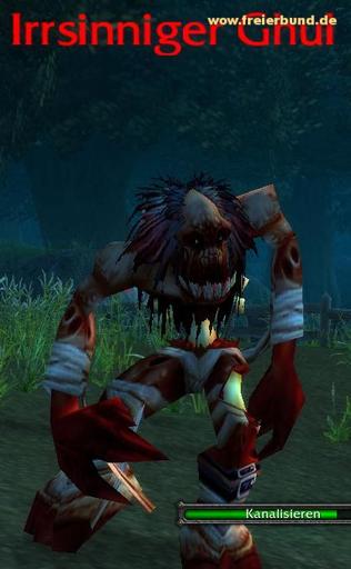 Irrsinniger Ghul (Insane Ghoul) Monster WoW World of Warcraft  2