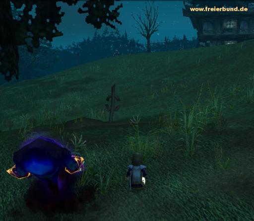 Ein verwittertes Grab (A Weathered Grave) Quest-Gegenstand WoW World of Warcraft  2