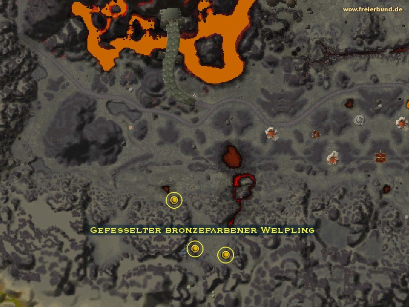 Gefesselter bronzefarbener Welpling (Fettered Bronze Whelpling) Monster WoW World of Warcraft 