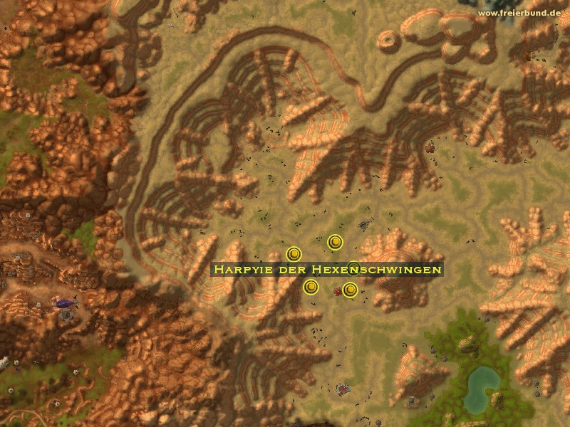 Harpyie der Hexenschwingen (Witchwing Harpy) Monster WoW World of Warcraft 