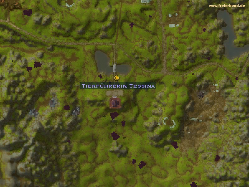 Tierführerin Tessina (Handler Tessina) Quest NSC WoW World of Warcraft 