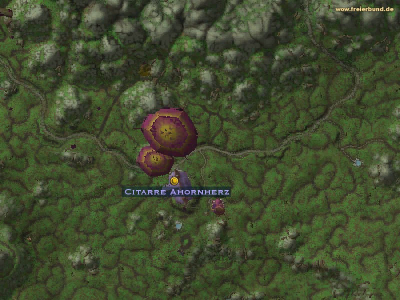 Citarre Ahornherz (Citarre Mapleheart) Quest NSC WoW World of Warcraft 