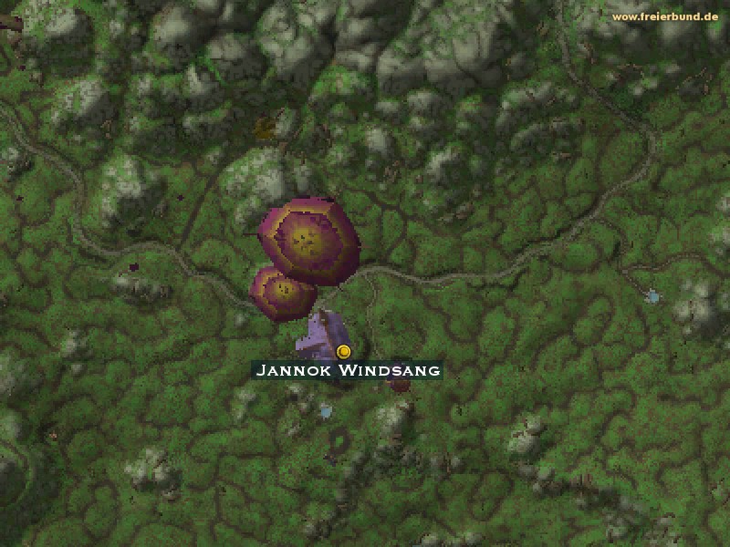 Jannok Windsang (Jannok Breezesong) Trainer WoW World of Warcraft 