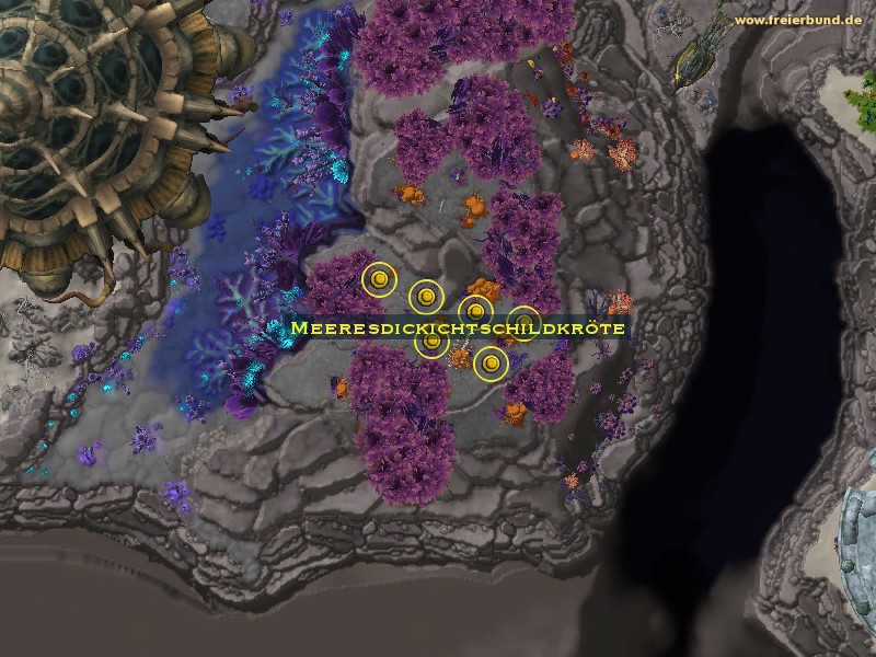 Meeresdickichtschildkröte (Seabrush Terrapin) Monster WoW World of Warcraft 