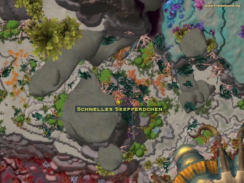 Schnelles Seepferdchen (Swift Seahorse) Händler/Handwerker WoW World of Warcraft 