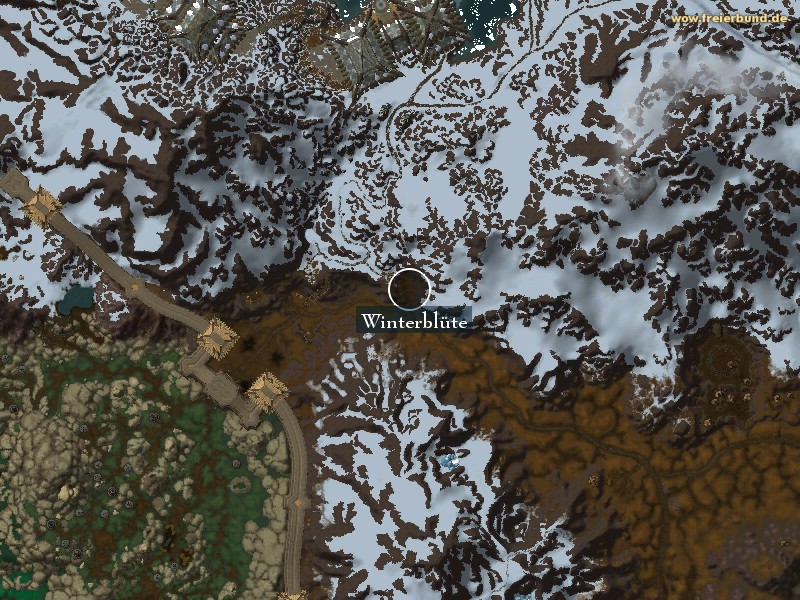 Winterblüte (Winter's Blossom) Landmark WoW World of Warcraft 